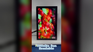 IP67 Outdoor Digital Signage Waterdicht Stofdicht voor zware omgevingen