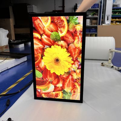 kopen HDMI IP67 Waterdicht Buiten Led Advertentie Scherm lcd-scherm UV-beschermde Wandmontage online manufacture