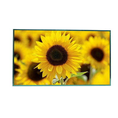 kopen 32 inch zonlicht leesbaar LCD-scherm Monitor Full HD Display 1920x1080 online manufacture