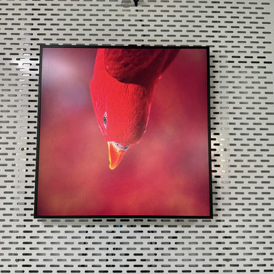 kopen Resolutie 948*948 Vierkant All In One Digitaal Signage met USB HDMI RJ45 Interface online vervaardiging