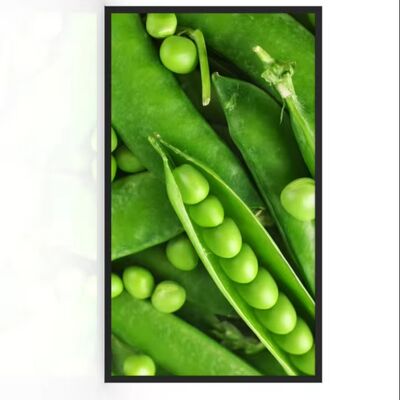 kopen 32-inch Ultra-smalle rand Buiten LCD Monitor met 3000 nits helderheid, IP67 waterdicht en anti-reflecterend glas voor winkelcentra & liften online vervaardiging