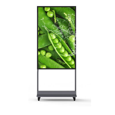 kopen 55 inch IP67 waterdicht digitale buitenborden met 5000Nits helderheid LCD-advertentie-display online vervaardiging