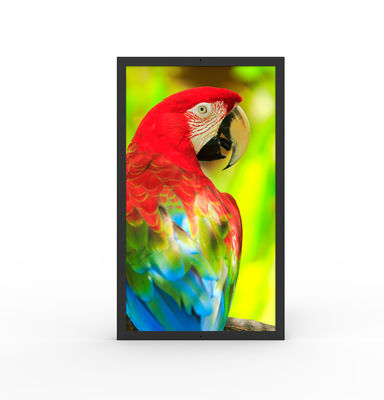 Waterbestendig HDMI Commerciële digitale schermen 49 inch Ultrawide Monitor