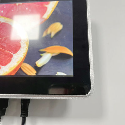 OEM Helderheid Embedded LCD Display Monitor 1000 Nits 1024x600